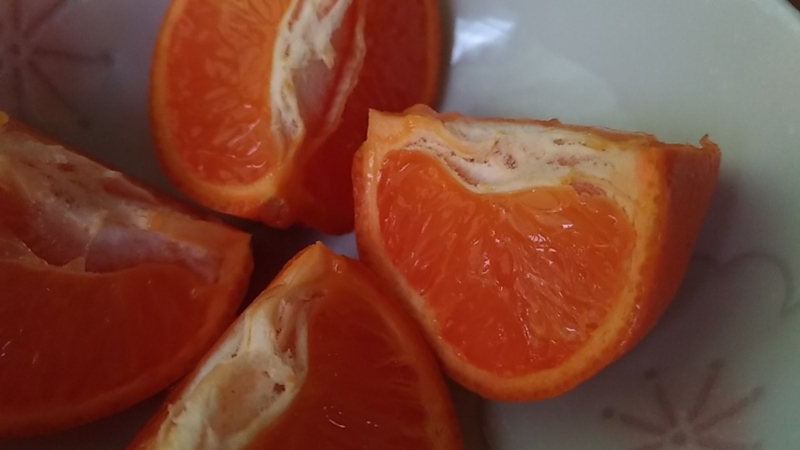 普通に切った小さいオレンジ